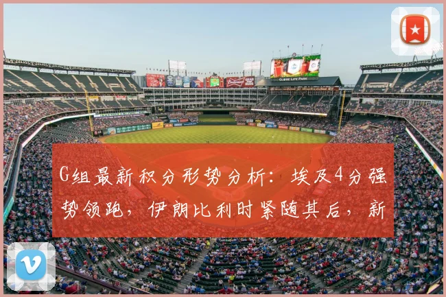 G组最新积分形势分析：埃及4分强势领跑，伊朗比利时紧随其后，新西兰垫底何解？