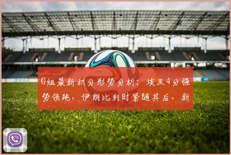 G组最新积分形势分析:埃及4分强势领跑,伊朗比利时紧随其后,新西兰垫底何解?